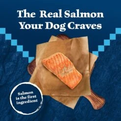 Blue Buffalo Wilderness Adult High Protein Natural Salmon & Wholesome Grains Dry Dog Food -Cozy Paws 733494 PT2. AC SS1800 V1694550753