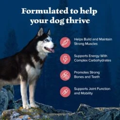 Blue Buffalo Wilderness Adult High Protein Natural Salmon & Wholesome Grains Dry Dog Food -Cozy Paws 733494 PT3. AC SS1800 V1694550811