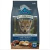 Blue Buffalo Wilderness Puppy High Protein Natural Chicken & Wholesome Grains Dry Dog Food -Cozy Paws 733510 MAIN. AC SS1800 V1694547150