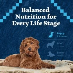 Blue Buffalo Wilderness Puppy High Protein Natural Chicken & Wholesome Grains Dry Dog Food -Cozy Paws 733510 PT7. AC SS1800 V1694550813