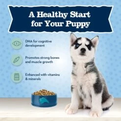Blue Buffalo High Protein Puppy Chicken Dry Dog Food -Cozy Paws 735390 PT3. AC SS1800 V1671130392