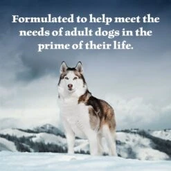 Blue Buffalo Wilderness Beef & Salmon Variety Pack Wet Dog Food -Cozy Paws 735422 PT3. AC SS1800 V1671574470