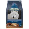 Blue Buffalo Wilderness Senior High Protein Natural Chicken & Wholesome Grains Dry Dog Food -Cozy Paws 735454 MAIN. AC SS1800 V1694547152