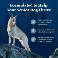 Blue Buffalo Wilderness Senior High Protein Natural Chicken & Wholesome Grains Dry Dog Food -Cozy Paws 735454 PT3. AC SS1800 V1694547716