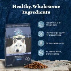Blue Buffalo Wilderness Senior High Protein Natural Chicken & Wholesome Grains Dry Dog Food -Cozy Paws 735454 PT5. AC SS1800 V1694550751
