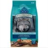 Blue Buffalo Wilderness Large Breed Adult High Protein Natural Salmon & Wholesome Grains Dry Dog Food, 28-lb Bag -Cozy Paws 735518 MAIN. AC SS1800 V1694547091
