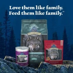 Blue Buffalo Wilderness Large Breed Adult High Protein Natural Salmon & Wholesome Grains Dry Dog Food, 28-lb Bag 19 Blue Buffalo Wilderness Large Breed Adult High Protein Natural Salmon & Wholesome Grains Dry Dog Food, 28-lb Bag -Cozy Paws 735518 PT8. AC SS1800 V1694547090