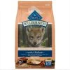 Blue Buffalo Wilderness Large Breed Puppy High Protein Natural Chicken & Wholesome Grains Dry Dog Food, 28-lb Bag -Cozy Paws 735534 MAIN. AC SS1800 V1694547150