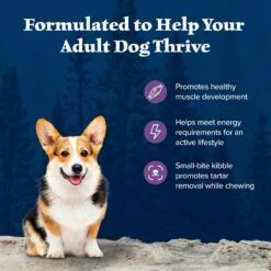 Blue Buffalo Wilderness Adult Small Bite High Protein Natural Chicken & Wholesome Grains Dry Dog Food -Cozy Paws 735670 PT3. AC SS1800 V1694548888