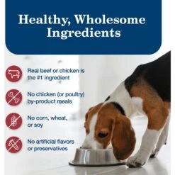 Blue Buffalo's Stew Chicken & Beef Variety Pack Wet Dog Food -Cozy Paws 735686 PT5. AC SS1800 V1674587843