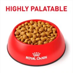 Royal Canin Veterinary Diet Adult Mature Consult Medium Breed Dry Dog Food 13 Royal Canin Veterinary Diet Adult Mature Consult Medium Breed Dry Dog Food -Cozy Paws 73706 PT2. AC SS1800 V1694463361