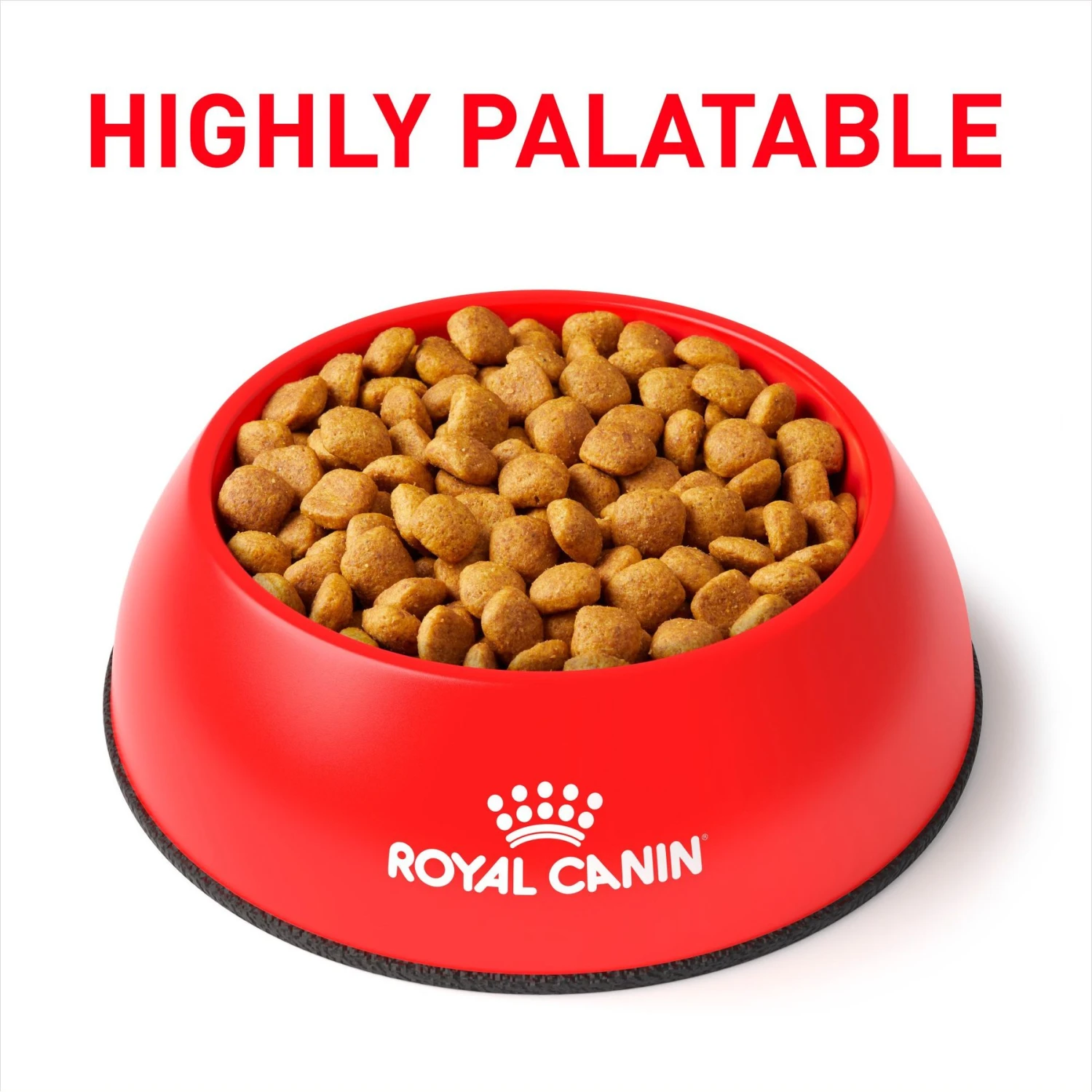 Royal Canin Veterinary Diet Adult Mature Consult Medium Breed Dry Dog Food 5 Royal Canin Veterinary Diet Adult Mature Consult Medium Breed Dry Dog Food - Image 3