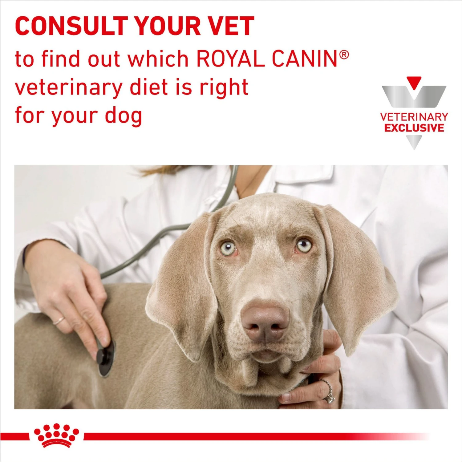 Royal Canin Veterinary Diet Adult Mature Consult Medium Breed Dry Dog Food 11 Royal Canin Veterinary Diet Adult Mature Consult Medium Breed Dry Dog Food - Image 9