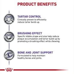 Royal Canin Veterinary Diet Adult Dental Medium & Large Breed Dry Dog Food -Cozy Paws 73707 PT4. AC SS1800 V1694464651