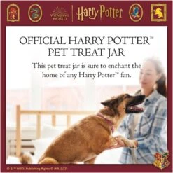 Fetch For Pets Harry Potter Hedwig Dog Treat Jar -Cozy Paws 738710 PT2. AC SS1800 V1678907363