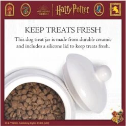 Fetch For Pets Harry Potter Hedwig Dog Treat Jar -Cozy Paws 738710 PT4. AC SS1800 V1678907363