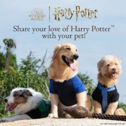 Fetch For Pets Harry Potter Hedwig Dog Treat Jar -Cozy Paws 738710 PT6. AC SS1800 V1678906022