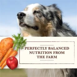 Whole Earth Farms Grain-Free Red Meat Recipe Canned Dog Food -Cozy Paws 73953 PT2. AC SS1800 V1626190308