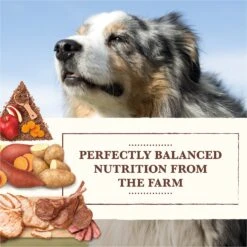 Whole Earth Farms Grain-Free Pork, Beef & Lamb Recipe Dry Dog Food -Cozy Paws 73974 PT2. AC SS1800 V1647905492