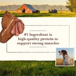 Whole Earth Farms Grain-Free Pork, Beef & Lamb Recipe Dry Dog Food -Cozy Paws 73974 PT3. AC SS1800 V1647913061
