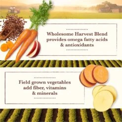 Whole Earth Farms Grain-Free Pork, Beef & Lamb Recipe Dry Dog Food -Cozy Paws 73974 PT6. AC SS1800 V1647902789