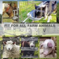 Win World Gazebo Automatic Dog & Cat Feeder, Grey, Large 13 Win World Gazebo Automatic Dog & Cat Feeder, Grey, Large -Cozy Paws 740734 PT5. AC SS1800 V1671222524