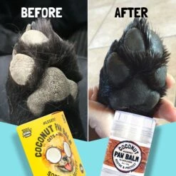 Legitpet Skin & Coat Coconut Oil & Shea Butter Adult Dog Paw Balm -Cozy Paws 740822 PT2. AC SS1800 V1673627514