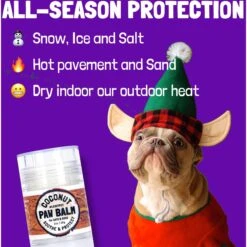 Legitpet Skin & Coat Coconut Oil & Shea Butter Adult Dog Paw Balm -Cozy Paws 740822 PT4. AC SS1800 V1673627967