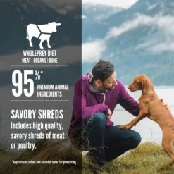 ORIJEN Real Meat Shreds Beef Recipe Stew Grain-Free Wet Dog Food, 12.8-oz Can, Case Of 12 -Cozy Paws 741414 PT4. AC SS1800 V1682006731