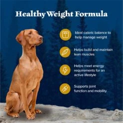 Blue Buffalo Wilderness Healthy Weight Adult High Protein Natural Chicken & Wholesome Grains Dry Dog Food -Cozy Paws 748262 PT3. AC SS1800 V1694548887