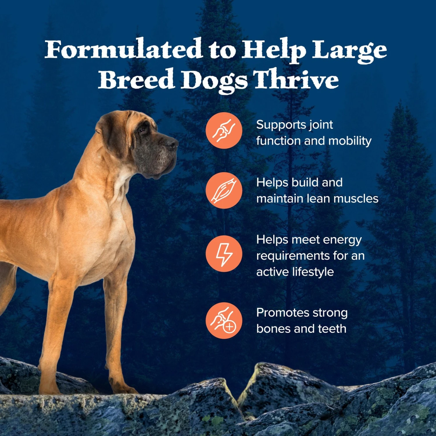 Blue Buffalo Wilderness Large Breed Adult High Protein Natural Chicken & Wholesome Grains Dry Dog Food 6 Blue Buffalo Wilderness Large Breed Adult High Protein Natural Chicken & Wholesome Grains Dry Dog Food - Image 4