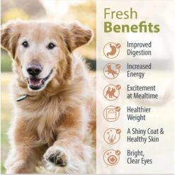 JustFoodForDogs Pantry Fresh Beef & Chicken Variety Pack Fresh Dog Food, 12.5-oz Pouch, Case Of 6 -Cozy Paws 749806 PT5. AC SS1800 V1674768977
