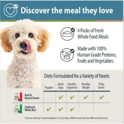 JustFoodForDogs Pantry Fresh Beef & Chicken Variety Pack, 12.5-oz Pouch, Case Of 4 -Cozy Paws 749822 PT3. AC SS1800 V1674768917