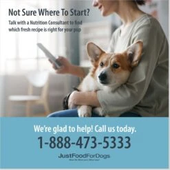 JustFoodForDogs Pantry Fresh Lamb & Brown Rice Fresh Dog Food -Cozy Paws 749886 PT6. AC SS1800 V1696533827