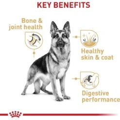 Royal Canin Breed Health Nutrition German Shepherd Adult Dry Dog Food -Cozy Paws 75164 PT4. AC SS1800 V1697212367