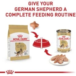 Royal Canin Breed Health Nutrition German Shepherd Adult Dry Dog Food -Cozy Paws 75164 PT5. AC SS1800 V1697213803