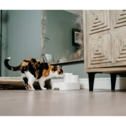 Cat Mate Plastic Dog & Cat Fountain, 67.6-oz 15 Cat Mate Plastic Dog & Cat Fountain, 67.6-oz -Cozy Paws 75264 PT5. AC SS1800 V1663712577