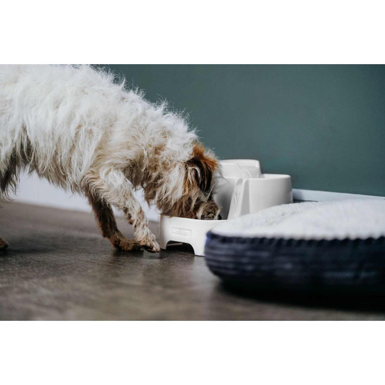 Cat Mate Plastic Dog & Cat Fountain, 67.6-oz 9 Cat Mate Plastic Dog & Cat Fountain, 67.6-oz - Image 7