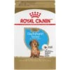Royal Canin Breed Health Nutrition Dachshund Puppy Dry Dog Food 1 Royal Canin Breed Health Nutrition Dachshund Puppy Dry Dog Food -Cozy Paws 75441 MAIN. AC SS1800 V1697139201