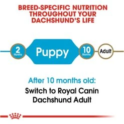 Royal Canin Breed Health Nutrition Dachshund Puppy Dry Dog Food -Cozy Paws 75441 PT6. AC SS1800 V1697212396