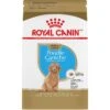 Royal Canin Breed Health Nutrition Poodle Puppy Dry Dog Food -Cozy Paws 75448 MAIN. AC SS1800 V1695156229