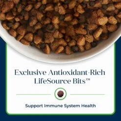 Blue Buffalo Basics Skin & Stomach Care Grain-Free Formula Lamb & Potato Recipe Adult Dry Dog Food -Cozy Paws 75659 PT6. AC SS1800 V1646274392