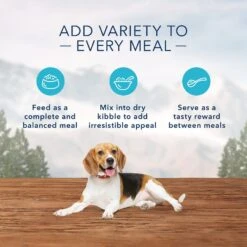 Blue Buffalo Wilderness Healthy Weight Turkey & Chicken Grill Grain-Free Adult Canned Dog Food -Cozy Paws 75743 PT4. AC SS1800 V1646792488