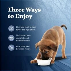 Blue Buffalo Wilderness Turkey & Chicken Grill Grain-Free Puppy Canned Dog Food -Cozy Paws 75750 PT6. AC SS1800 V1646789183