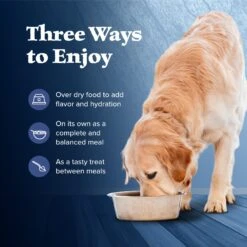Blue Buffalo Wilderness Turkey & Chicken Grill Grain-Free Senior Canned Dog Food -Cozy Paws 75766 PT6. AC SS1800 V1646779742
