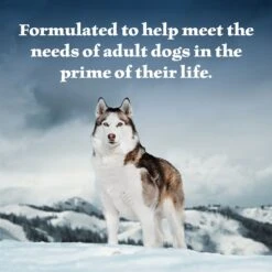 Blue Buffalo Wilderness Wolf Creek Stew Hearty Duck Stew Grain-Free Adult Canned Dog Food -Cozy Paws 75786 PT3. AC SS1800 V1646779583