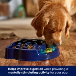 Frisco Interactive Dog Slow Feeder Bowl -Cozy Paws 761238 PT2. AC SS1800 V1696254583