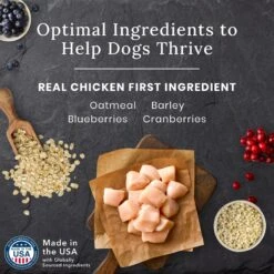 Blue Buffalo Blue Wilderness Premier Blend With Meaty Cuts Chicken Senior Dry Dog Food -Cozy Paws 761758 PT3. AC SS1800 V1680631025