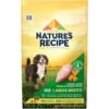 Nature's Recipe Large Breed Grain-Free Chicken, Sweet Potato & Pumpkin Recipe Dry Dog Food -Cozy Paws 76257 MAIN. AC SS1800 V1672782371