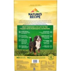 Nature's Recipe Large Breed Grain-Free Chicken, Sweet Potato & Pumpkin Recipe Dry Dog Food -Cozy Paws 76257 PT2. AC SS1800 V1672782316